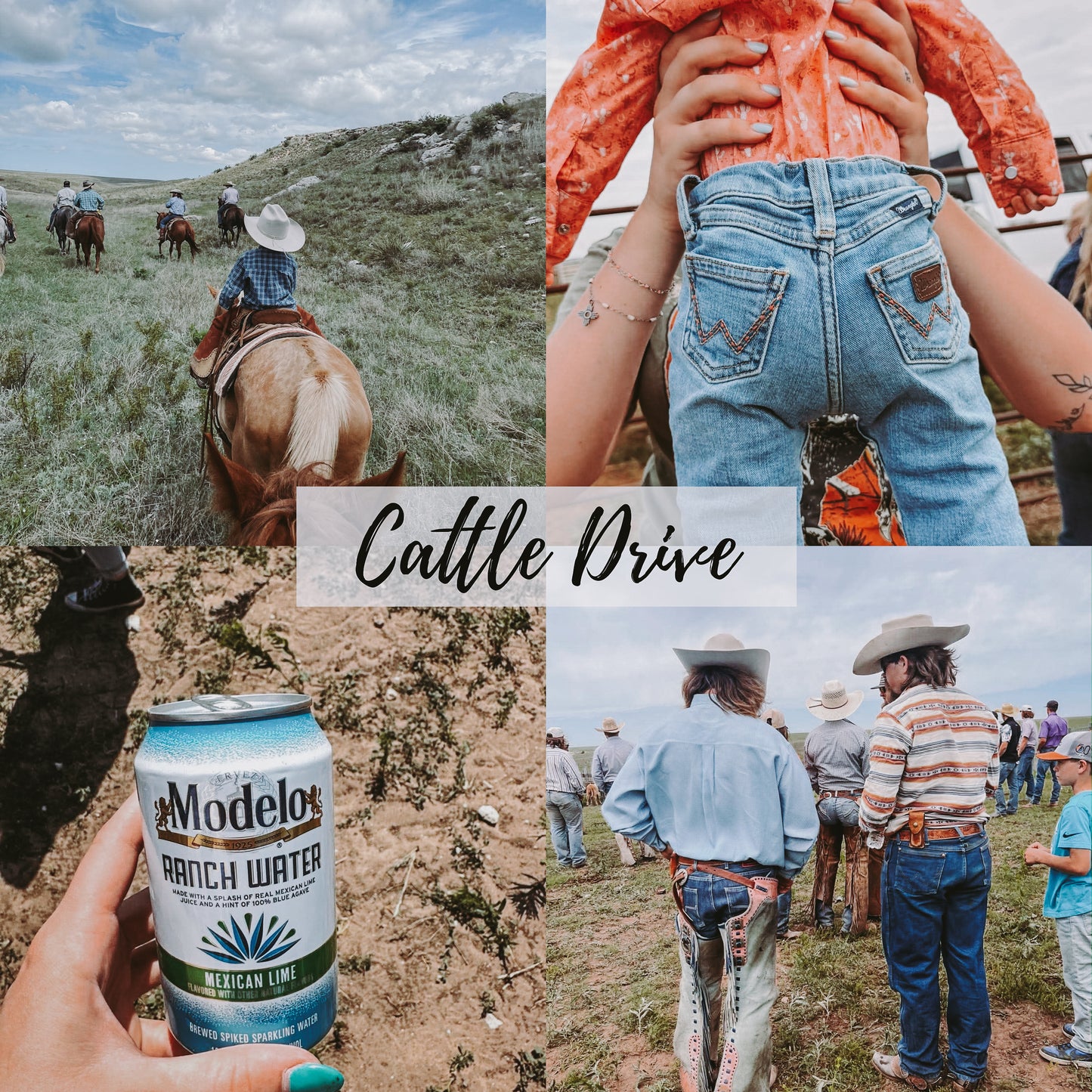 Western Collection