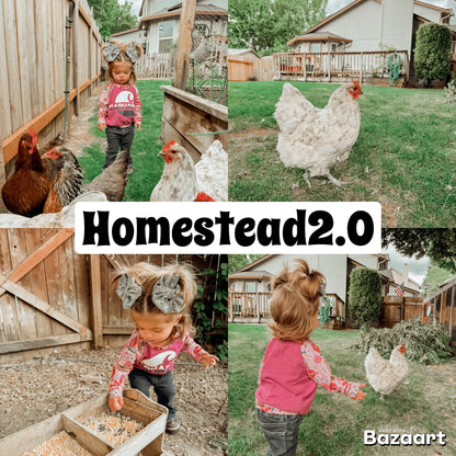 Homestead Trio