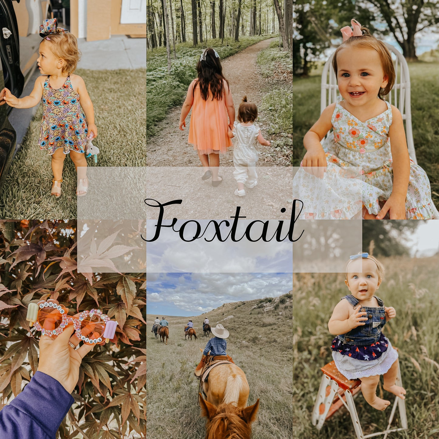 Woodland Collection