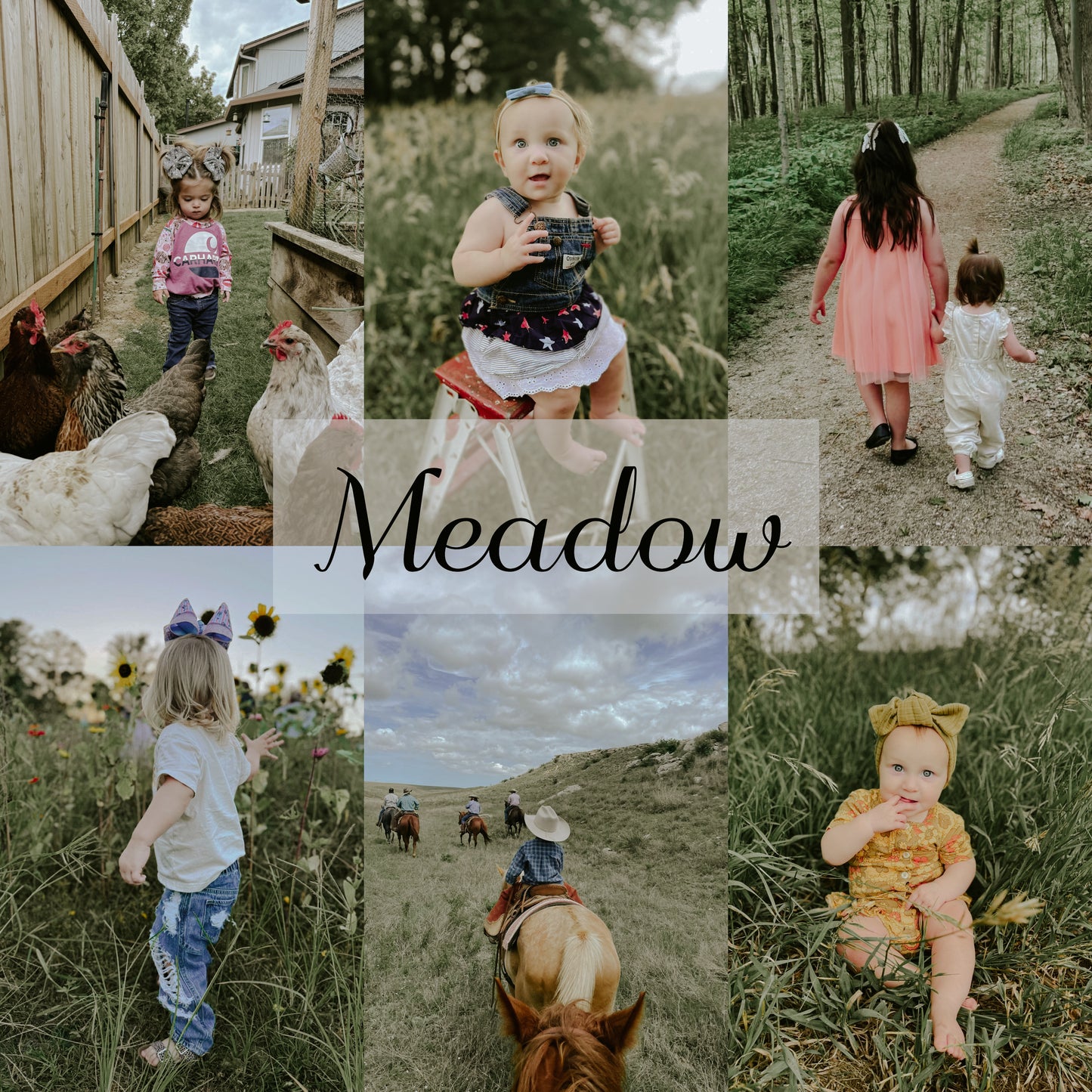 Woodland Collection