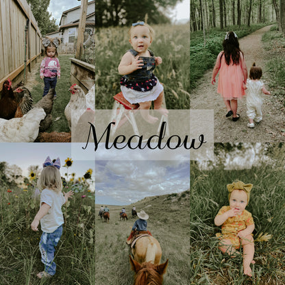 Woodland Collection