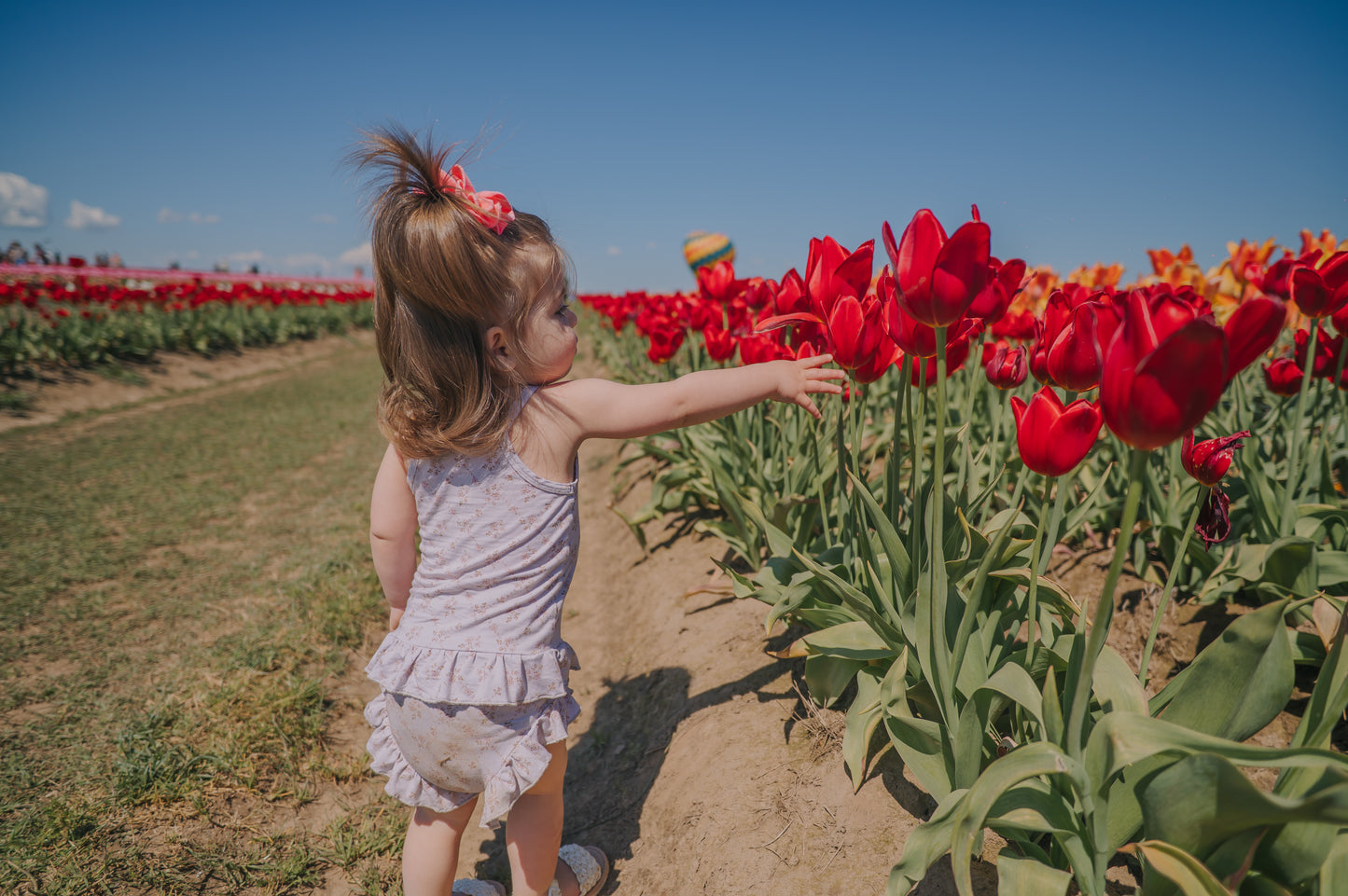 Tulip